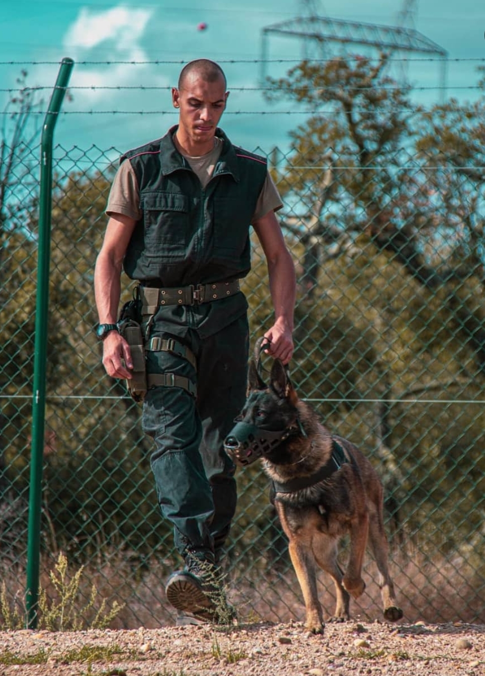 O início da ligação da Canox ao trabalho com cães