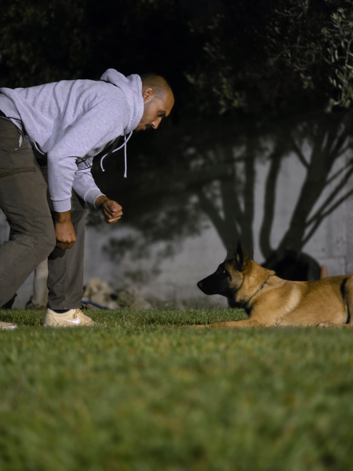 Treino e educação canina Canox