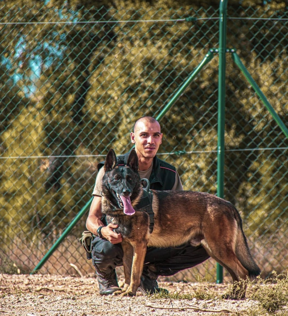 Treino e educação canina Canox